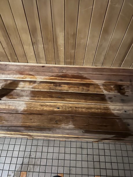 CZA best pornstar gallery