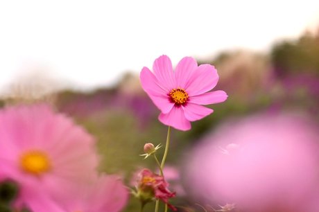 foot onlyfans beautiful nude photos