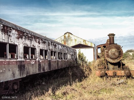 red scorpions star nudes image