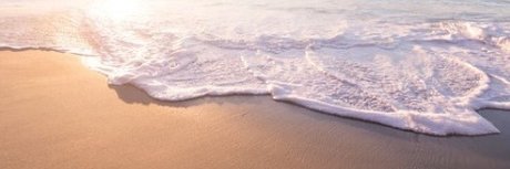 federow pornstar adult pic