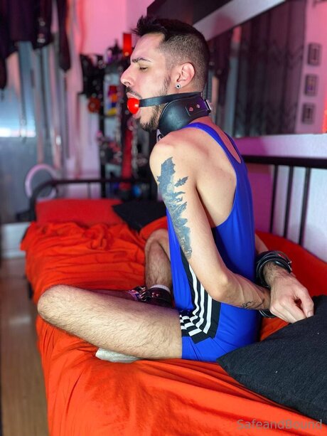 Safe and Bound pornstar images