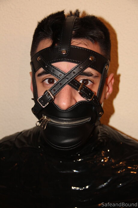 Safe and Bound star top archive