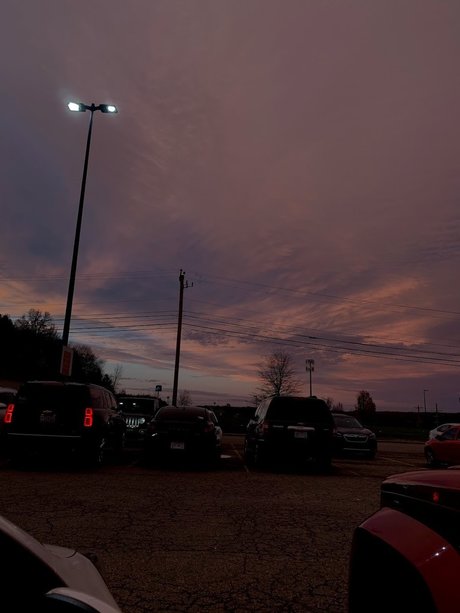 _FREE DMS_ best actress archive