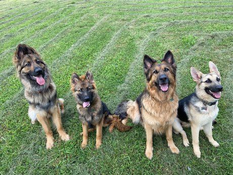 alt girl onlyfans sexy naked photos