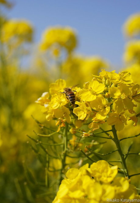 big tits lesbians onlyfans top pics