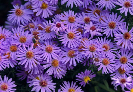 u37365736 nudes star pics