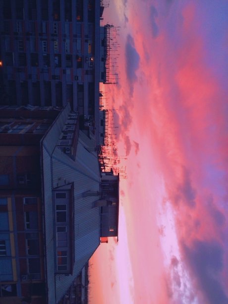 Lim n Miau adult star img