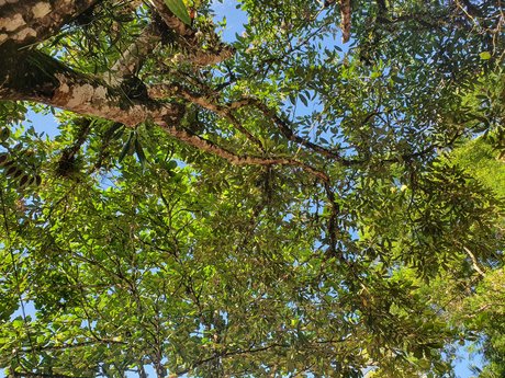 Gabriela Lima best pornstar pictures