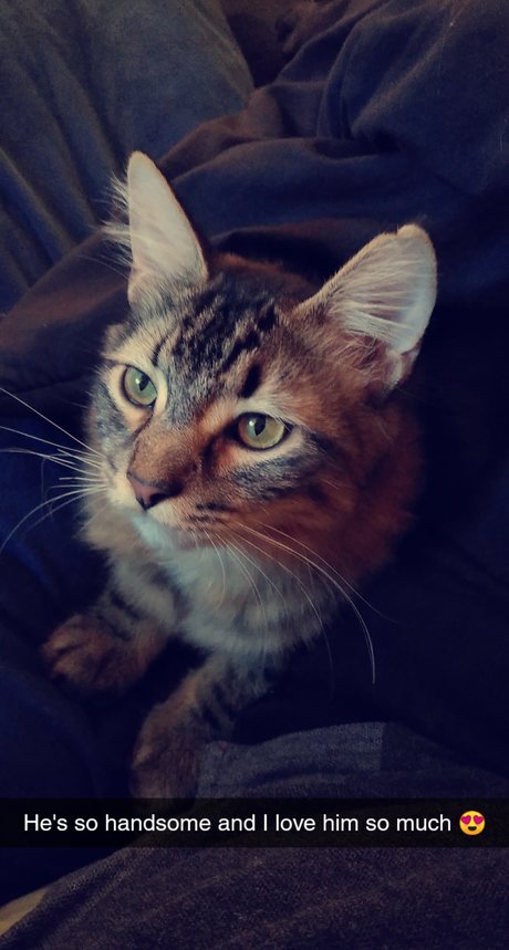 hairy granny onlyfans pornos gallery