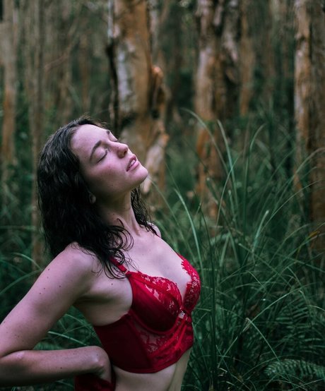 spin the wheel onlyfans pornographic archive