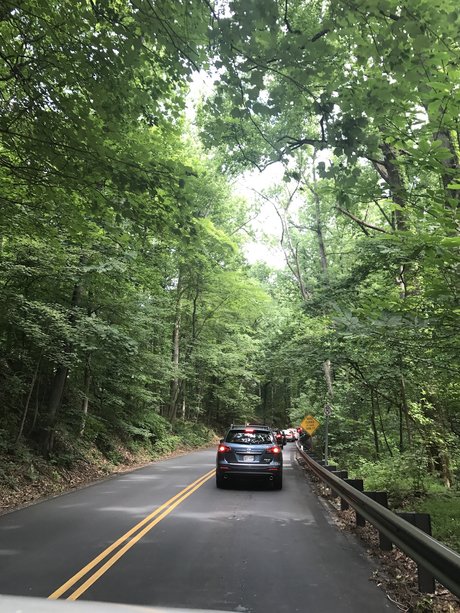 raven onlyfans adult pic