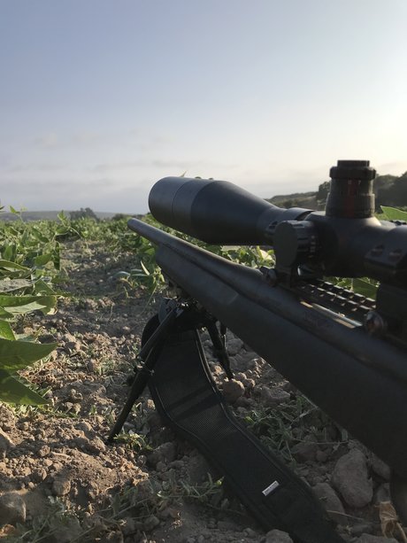 virgin onlyfans pornographic photos