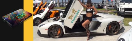 Paradox of Morality The Game star exclusive img