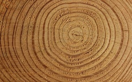 Beefstrokem off exclusive actress picture