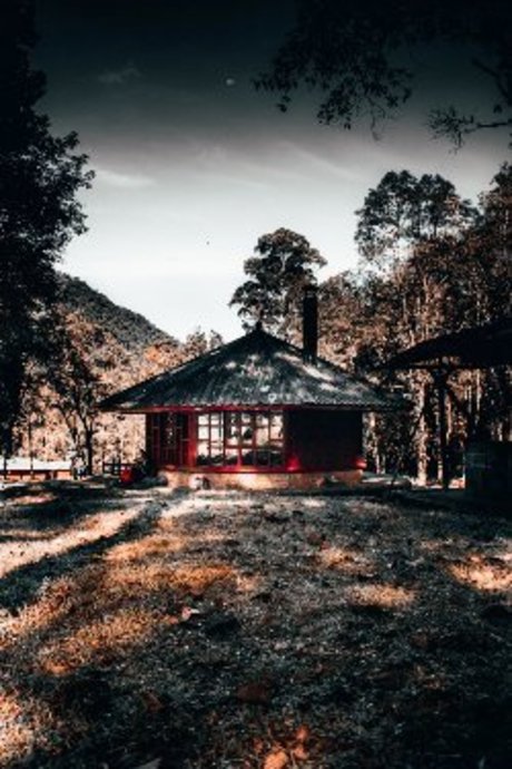 porn onlyfans top images