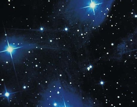 hottest trans onlyfans beautiful xxx pictures