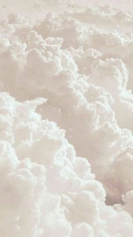 Austin XO sex model img