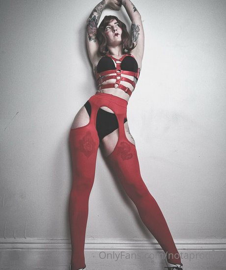 Notaprodigy hd model img