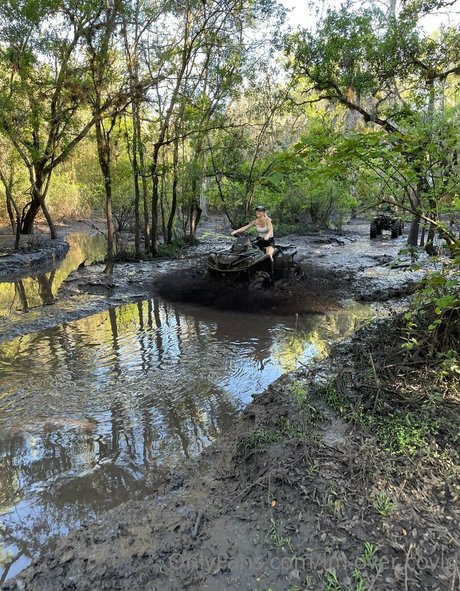 im over covid Images