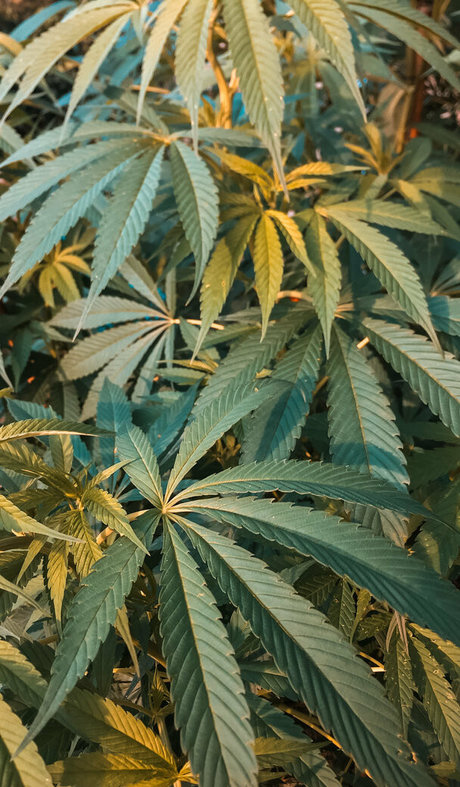 young free onlyfans beautiful xxx picture