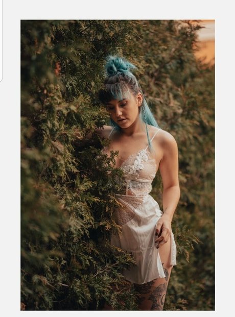 xoklautease best star galleries