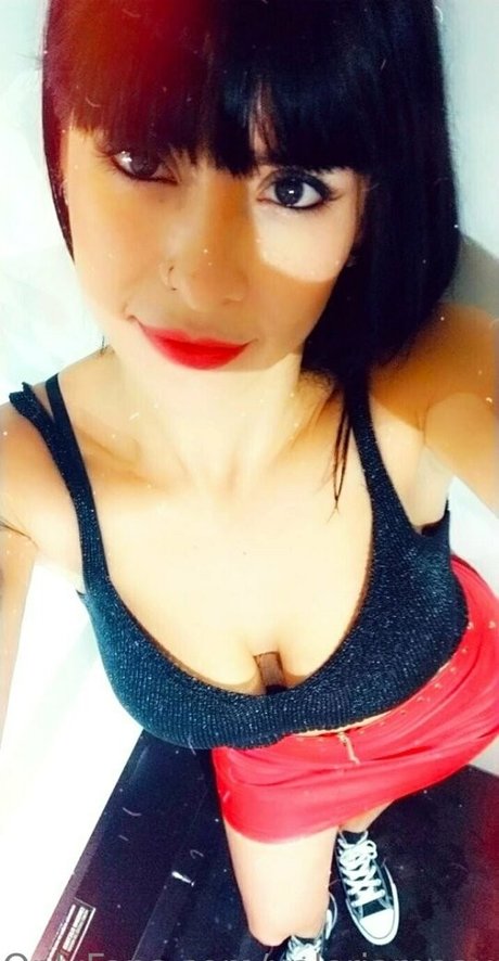 pampi cush exclusive star archive