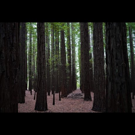 B3njamiv pornstar naked archive