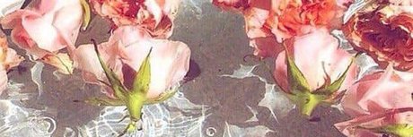 nicole opal pornstar art picture