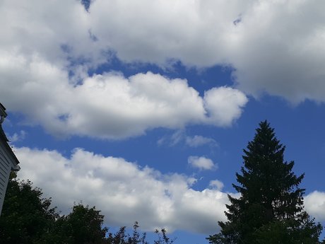 Kingler model high quality img