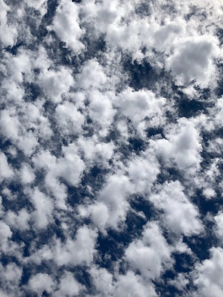 dddd 89 sexy star gallery