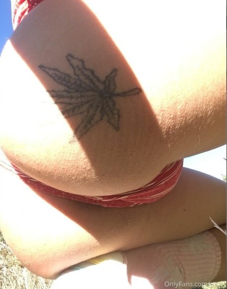 mqlll top star photo