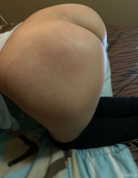 breeboo hot pornstar archive