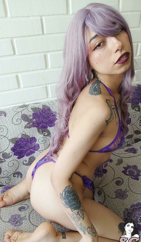 Donnacat naked star galleries