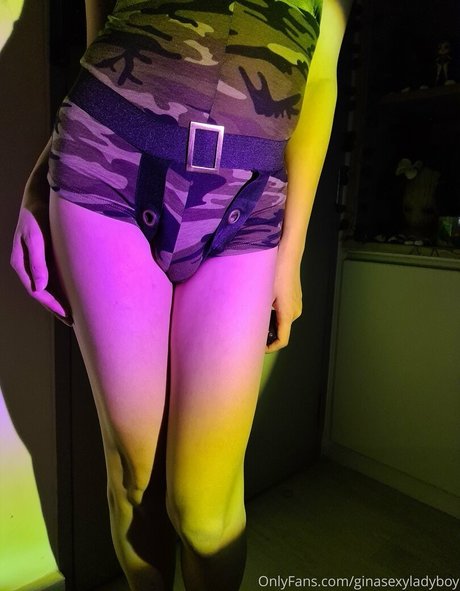 ginasexyladyboy pornographic model photo