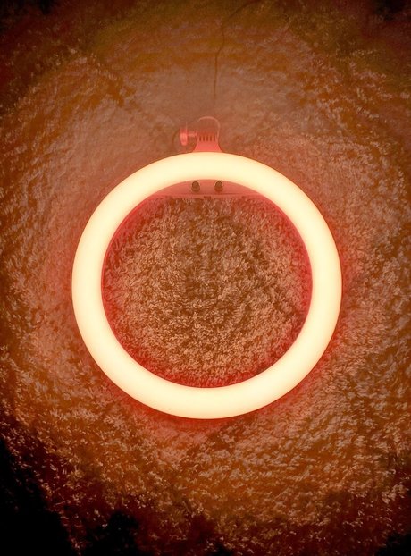 Dreamaliciousxxx pornstar adult pic