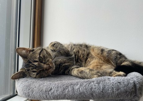 arab muscle onlyfans adult photos