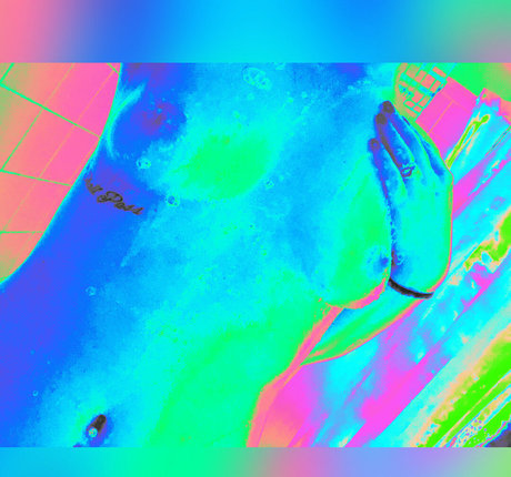 adamandlena model xxx img