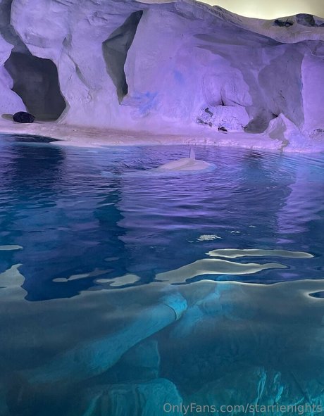 private onlyfans top archive