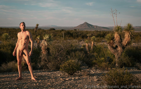 peaksandcheeks2 star xxx gallery