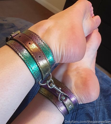 theprestigefeet model best gallery