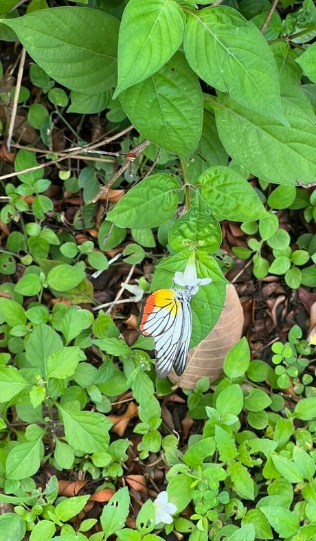 vacation onlyfans beautiful porn pics