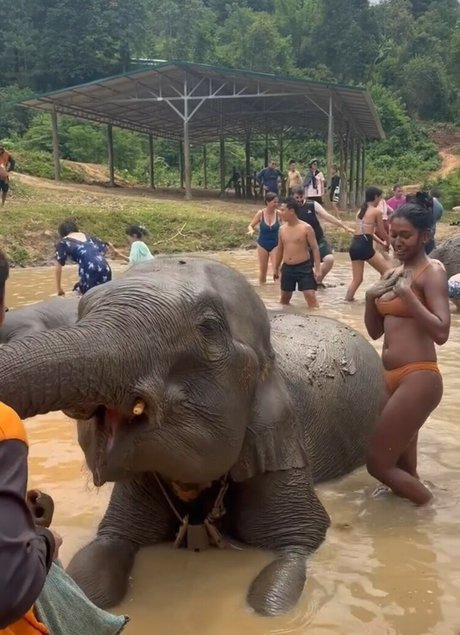 Venorika model erotic picture