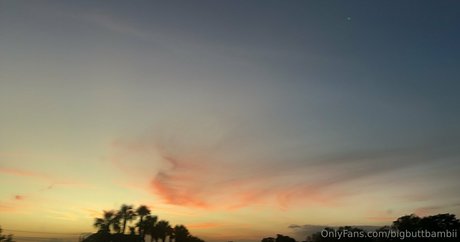 vanessaselene pornstar art gallery