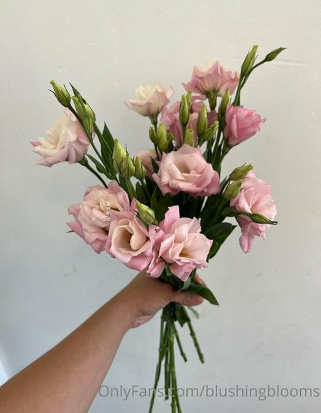 blushingblooms nudes pornstar image