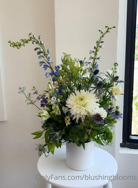 blushingblooms hd model photos