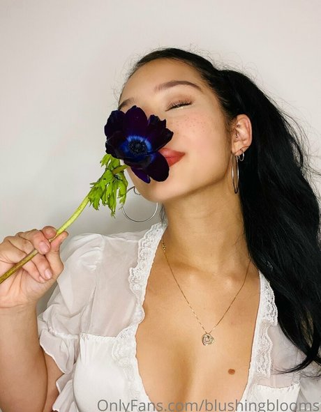 blushingblooms star pretty photo