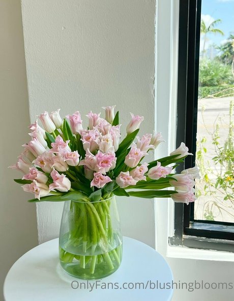 blushingblooms pornstar pretty picture