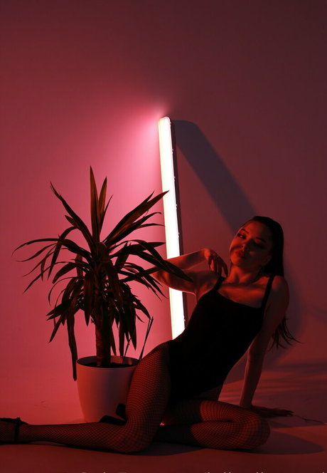 thigh onlyfans erotic galleries