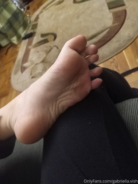 Gabriella Vish pornstar perfect gallery