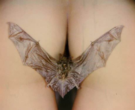 gay rimming onlyfans art porn pic